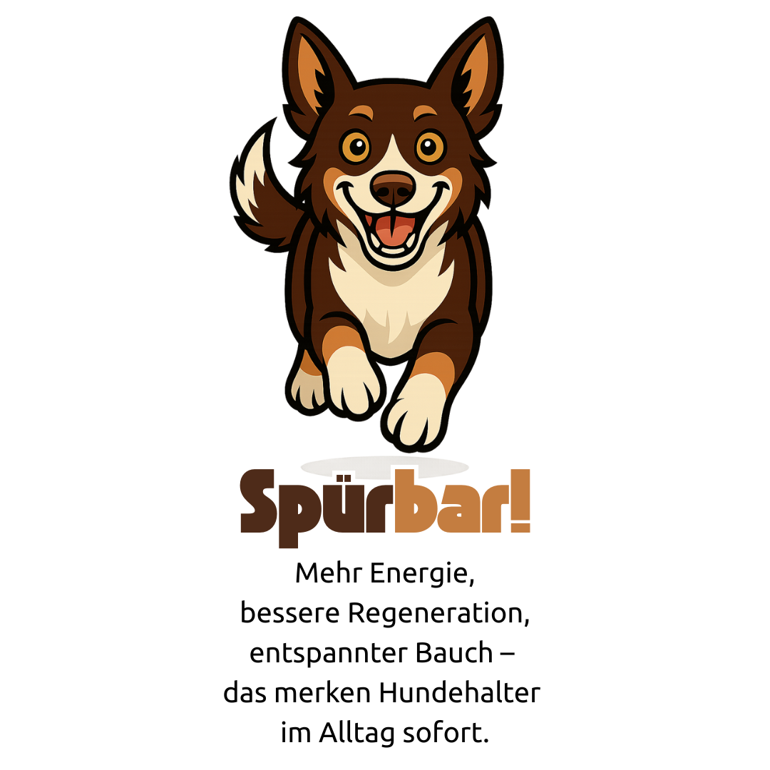 DripDropz Hundemaskottchen