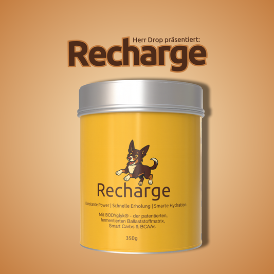 DripDropz Recharge: Produktinszenierung mit gelber Verpackung und Hundemaskottchen