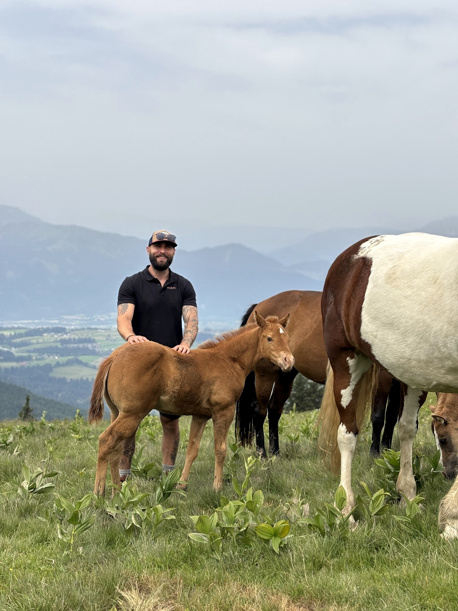Florian Förster auf einer Bergweide mit Pferden und einem Fohlen